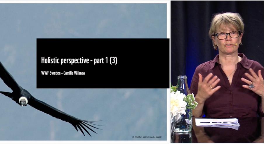 Course video thumbnail