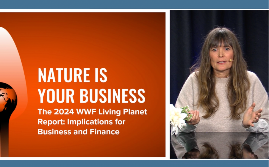 Course video thumbnail